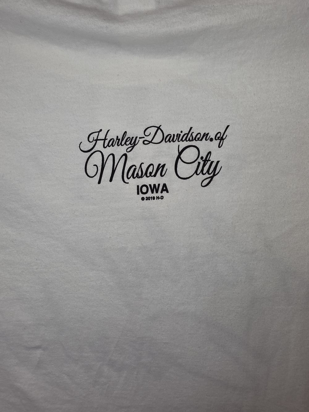 Harley-Davidson Cream Short Sleeve Tee with Black & Gold Script - Picture 6 of 12